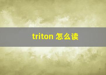 triton 怎么读